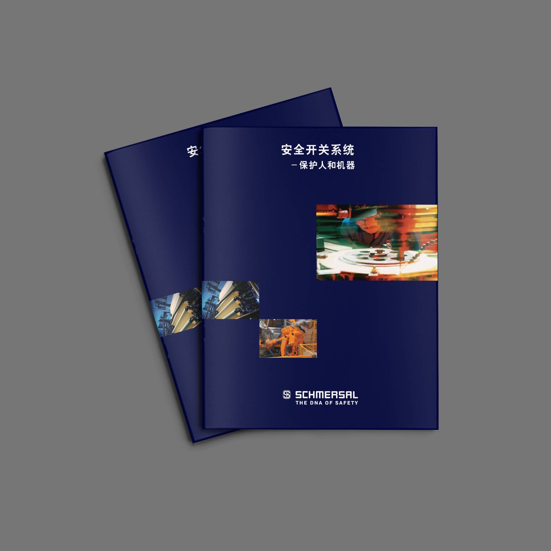 Brochure Production