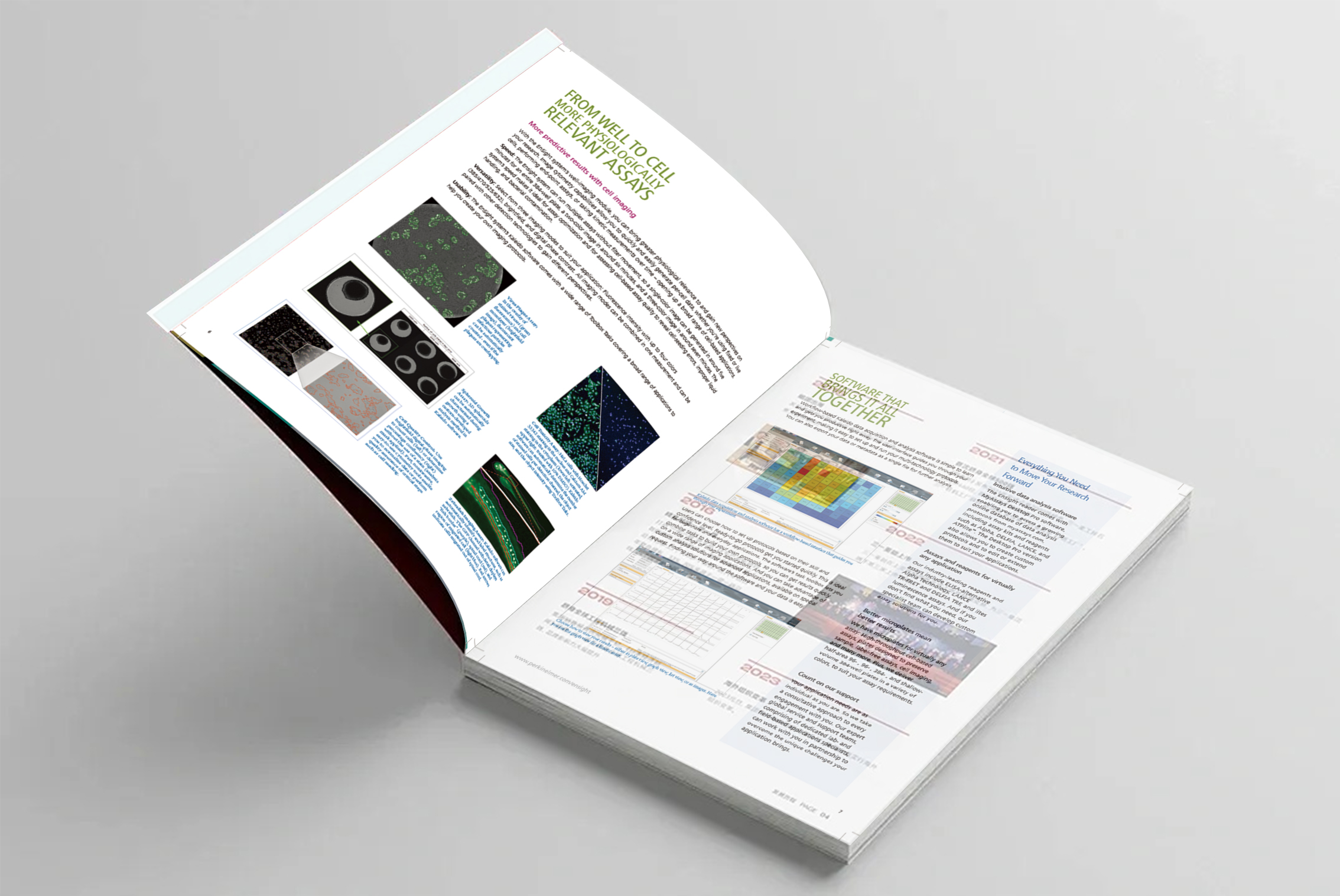 Brochure Design