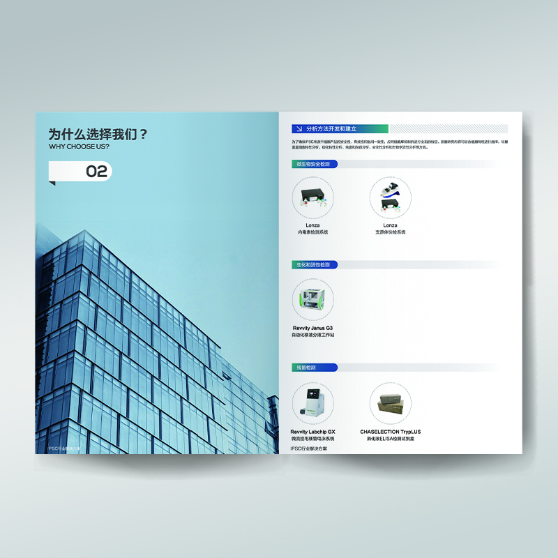 Brochure Design Company