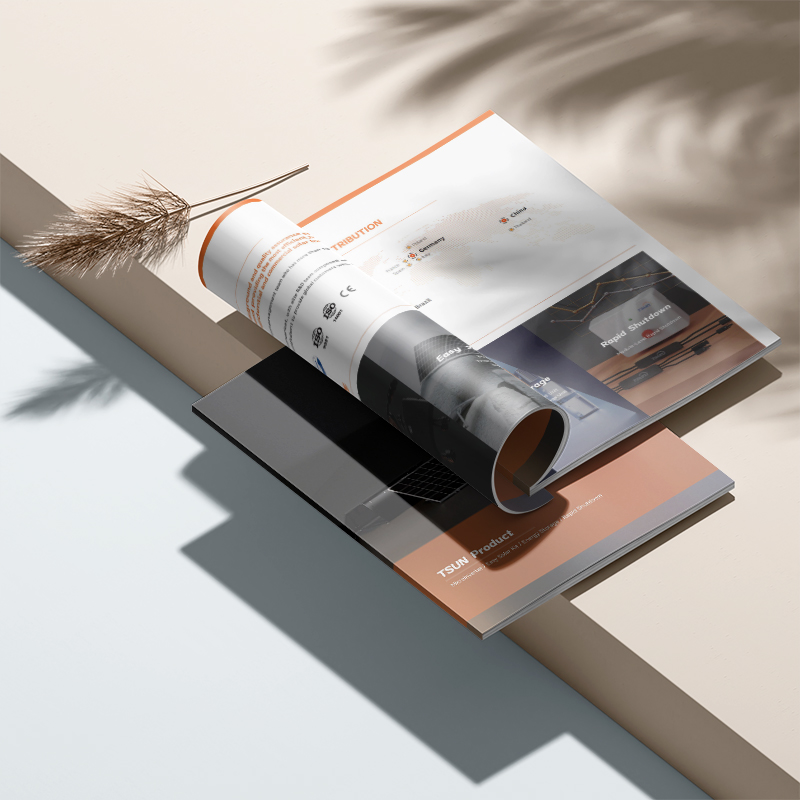 Brochure Timeline