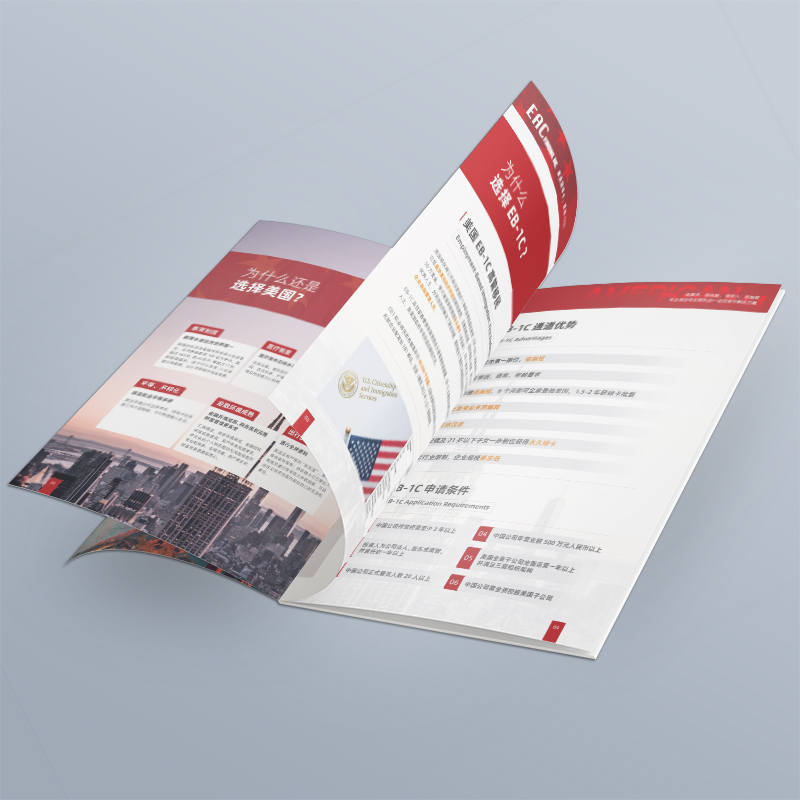 Design Website Optimization 