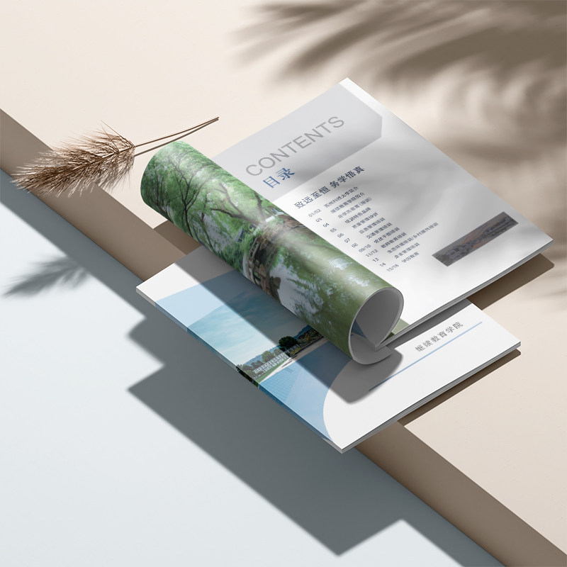 Special-shaped sample book design