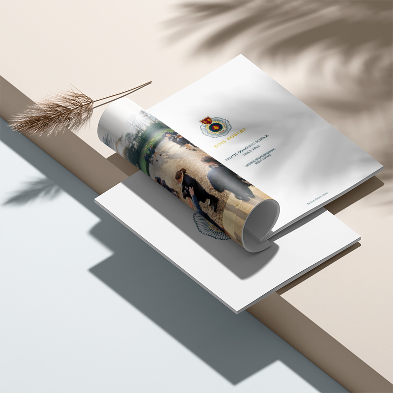 Company brochure design