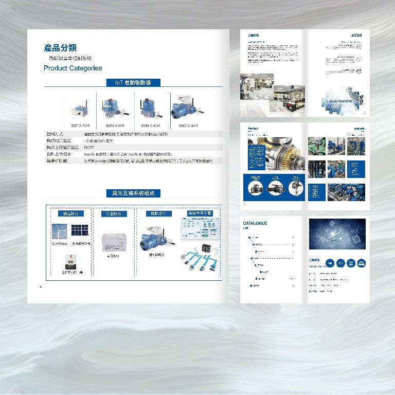 Corporate brochure production 